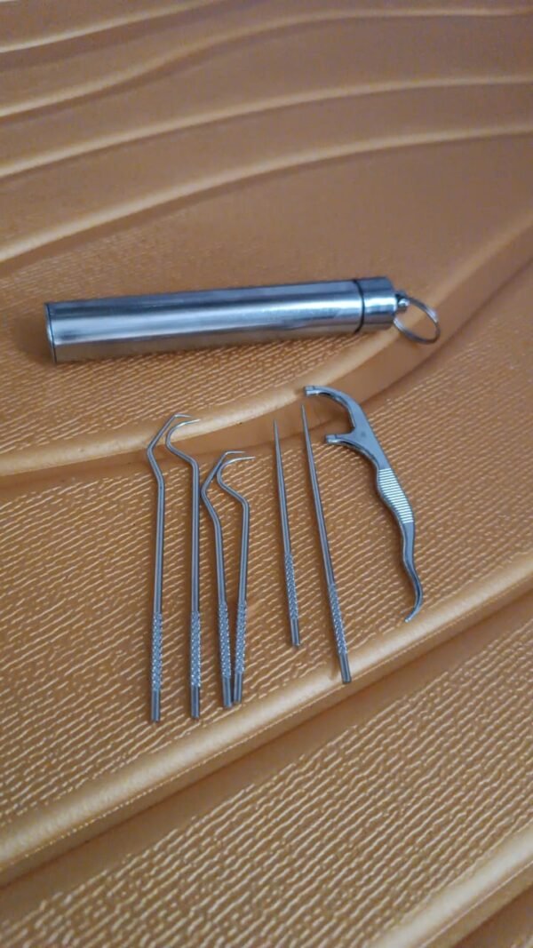 Stainless Steel Toothpick Set – 7-in-1 Portable Dental Kit | AuriGlam