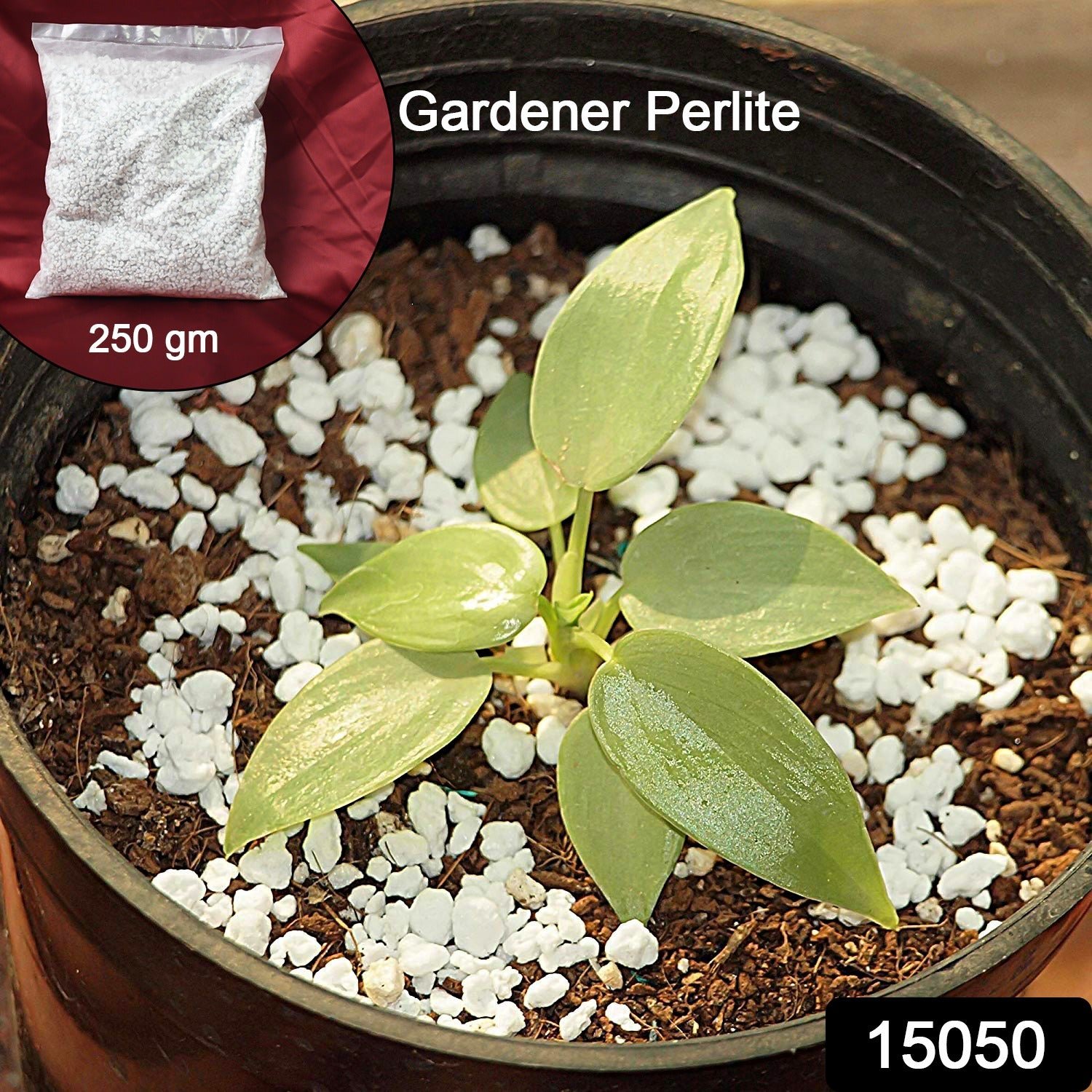 Perlite Soil Conditioner – Enhances Root Growth & Drainage | Indo Glow