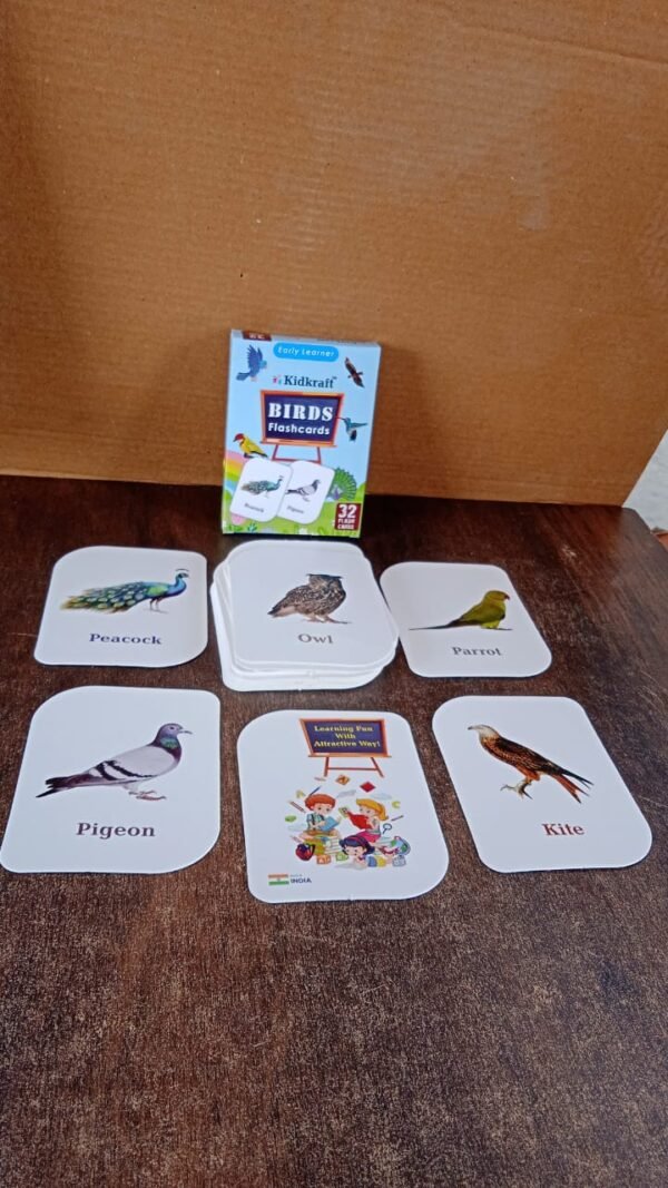 Bird Flashcards – 32 Realistic Educational Cards for Kids