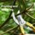 Garden Shears – Ultra Sharp Pruning Scissors for Plants | Velvet Wipe