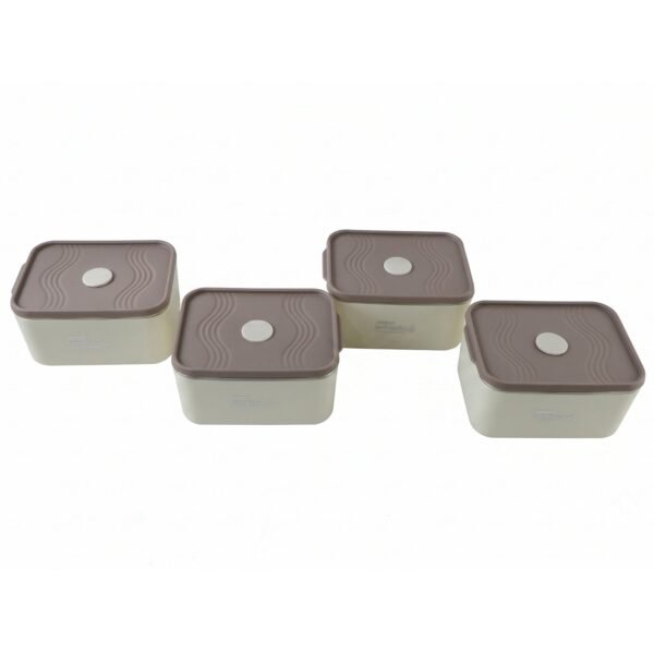 Insulated Tiffin Lunch Box Set – Keeps Food Warm & Cool