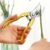 Garden Shears – Ultra Sharp Pruning Scissors for Plants | Velvet Wipe