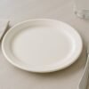 Plastic Round Dinner Plate – 23 cm Durable & Glossy