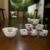 Glass Dessert Bowl Set – 7 Pc Rose Design | Serve Stellar