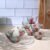 Glass Dessert Bowl Set – 7 Pc Rose Design | Serve Stellar