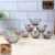 Glass Dessert Bowl Set – 7 Pc Rose Design | Serve Stellar