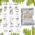 Vegetable Seeds Combo – 15 Varieties for Home Gardening