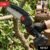 Mini Electric Cordless Chainsaw with 48V Battery for Wood Cutting (1 Set)