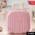 Mini Suitcase Storage Box, Cute & Reusable Travel Organizer