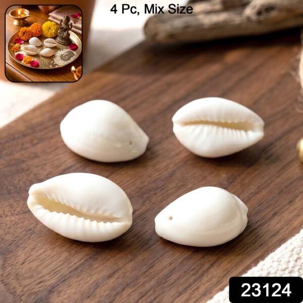 Natural Kaudi Cowrie Shells – Ideal for Pooja & Decor