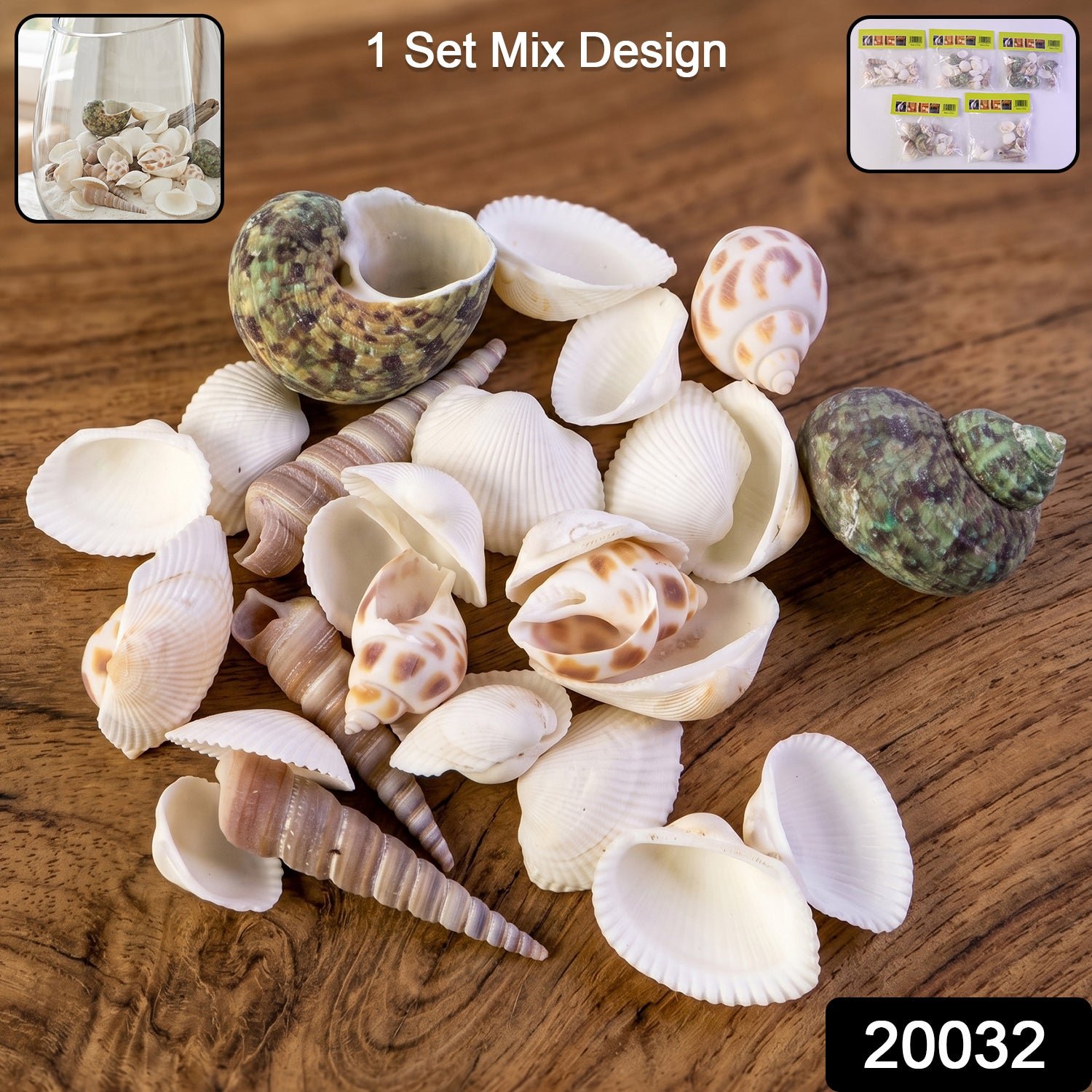 Natural Decorative Seashells Set – Coastal Charm for Home Decor