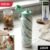 Stainless Steel Water Bottle – Leakproof & Large Capacity for Daily Use