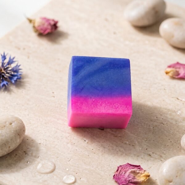 Toilet Bowl Cleaning Block – Dual Colour Flush Tank Cleaner