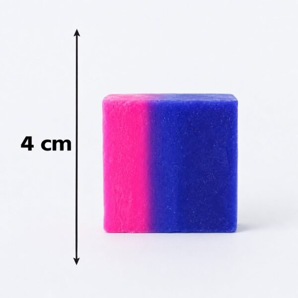 Toilet Bowl Cleaning Block – Dual Colour Flush Tank Cleaner